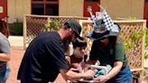 Lucerne Valley Virtual Academy students learn STEM lessons during pinewood derby event