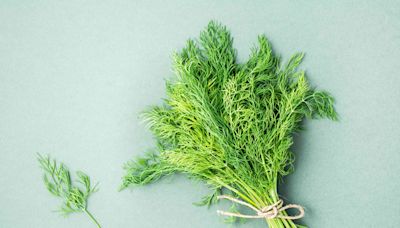 How to Freeze Dill So It Stays Fresh Longer