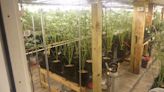 Illegal marijuana operation discovered in Jay farmhouse still under investigation