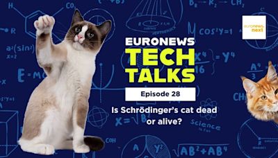 Is Schrödinger’s cat dead or alive, and other questions about quantum | Euronews Tech Talks