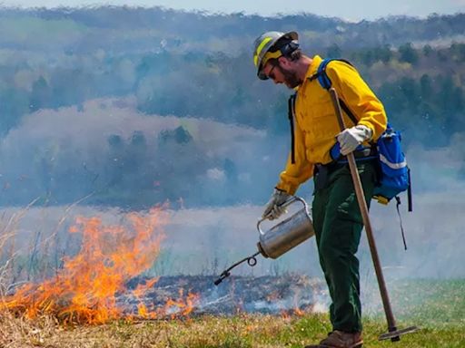 Prescribed burns to ignite safer, greener environments in Fort Worth parks