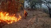 Incendios: Controlan incendio forestal en cerro de Bugambilias