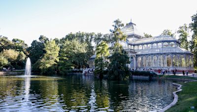 Huir del calor en Madrid: bajo la sombra de los Árboles Singulares de Retiro, Recoletos y El Prado