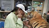 六福莊首推全台唯一非洲生態動物探索兒童獨立營隊 永續生態營隊正夯 七天六夜與動物共學共遊 | 蕃新聞