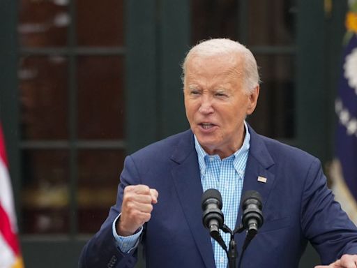 Joe Biden Dares Democratic Doubters To Challenge Him