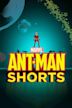 Marvel's Ant-Man Shorts