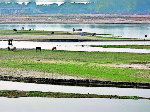 Prayagraj among 32 districts with improved groundwater level | Allahabad News - Times of India