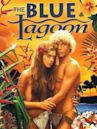The Blue Lagoon (1980 film)