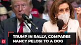 Donald Trump mocks Democrats in campaign rally; calls Kamala Harris 'crazy', compares Nancy Pelosi to a dog