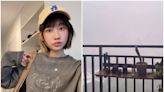 暴雨狂倒「街景完全看不到」！愛莉莎莎拍窗外一幕嚇壞