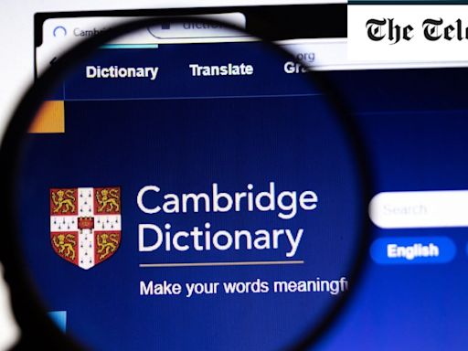 Dictionary gets ‘the ick’ in list of 2024’s new words and phrases