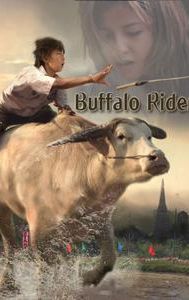 Buffalo Rider