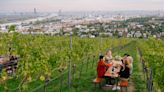 The 'world's most liveable city' is an unsung beauty with its own vineyards