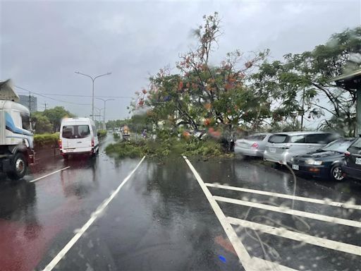 快訊／台南雨彈狂襲！台一線新市路段大樹倒塌 轎車慘遭「擊落壓扁」