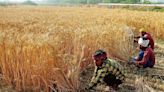Budget hopeless, fails to address deepening farm crisis: Haryana farmers