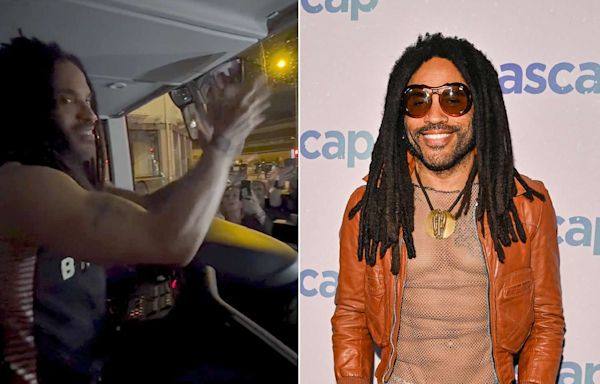 Lenny Kravitz Lifts Up and Hugs Crying Fan at Music Festival: 'Let Love Rule'