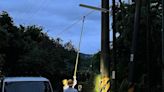 砰！闖電桿釀南投永興社區跳電 松鼠慘變「電焦鼠」