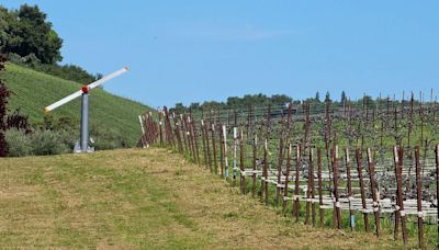 Farm wind machines sound like ‘Vietnam-era choppers.’ Should SLO County muzzle them? | Opinion