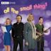 All the Small Things (TV series)