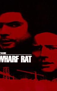 The Wharf Rat