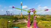 Busch Gardens Tampa Bay: aventura para todas as idades