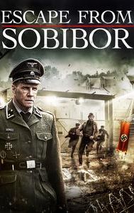 Sobibor (film)