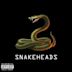 Snakeheads