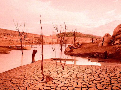 Climate Change Is Drying Up All the World’s Rivers at an Alarming Rate