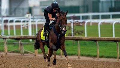 Dornoch 'Ready' for KY Derby After Receiving Hoof Care