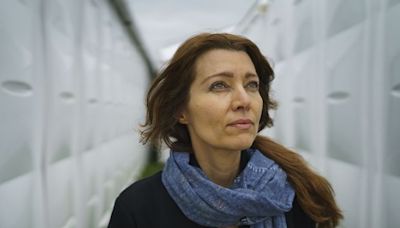 Elif Shafak: ‘A graphic novel of A Tale of Two Cities opened up another world and I never looked back’