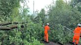 Year-long ‘vital’ work to trim bushes along railway in Warrington set to start