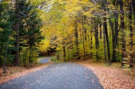 Chestnut Ridge Park