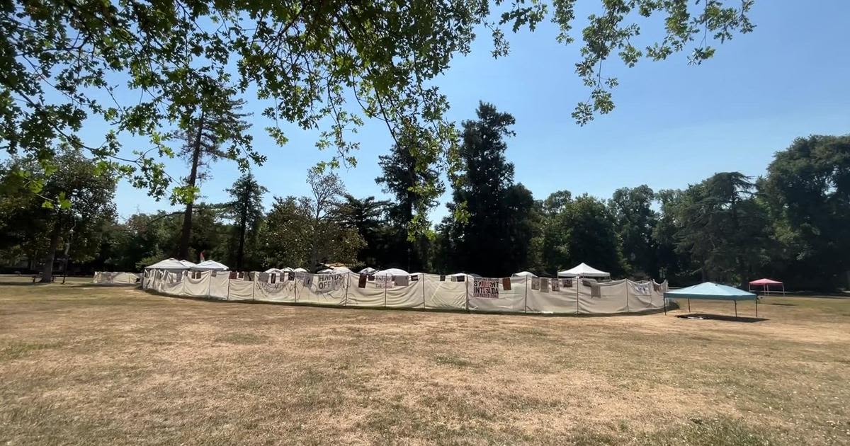 Demonstrators break down pro-Palestinian encampment at UC Davis