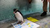 Feed a sloth, bathe an elephant or watch a penguin paint with these Indianapolis Zoo extras