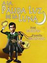 A la pálida luz de la luna