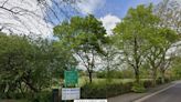 'Human or animal organs' found in container in south London park