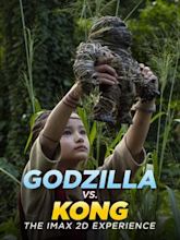 Godzilla vs. Kong