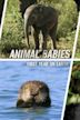 Animal Babies: First Year on Earth