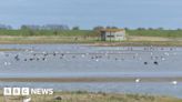 Frampton Marsh nature reserve celebrates 100th volunteer