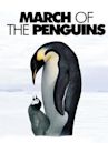 A Marcha dos Pinguins