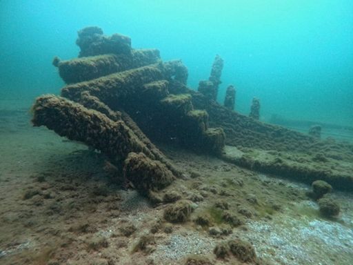 Shipwreck recovered at bottom of Lake Michigan 130 years after it sank with ‘faithful dog’ on board