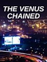 The Venus chained