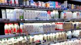 乳品標示將加強規範！食藥署預告修正草案要求「保久乳」包裝須特別註記
