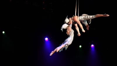 Cirque du Soleil to return to DCU Center with 'OVO'