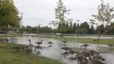 Roundup: Light rain dampens Ventura County after Hilary-related drenching in August