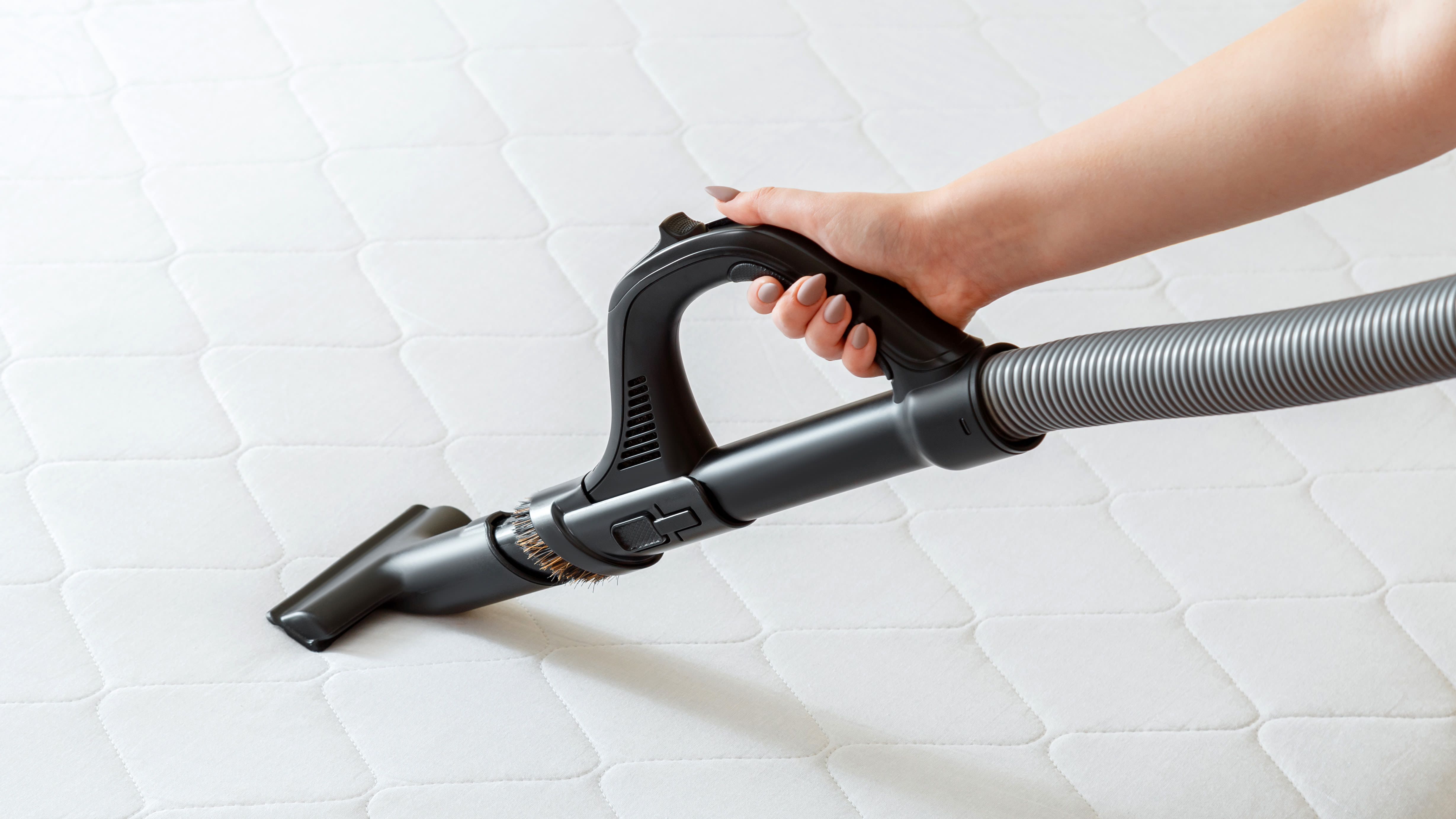 7 pro tips for vacuuming a mattress to get rid of bed bugs, dust mites and smells