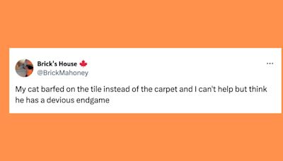 22 Of The Funniest Tweets About Cats And Dogs This Week (Aug. 31-Sept. 6)