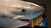 Take a bite out of these fun exhibits about sharks and dogs