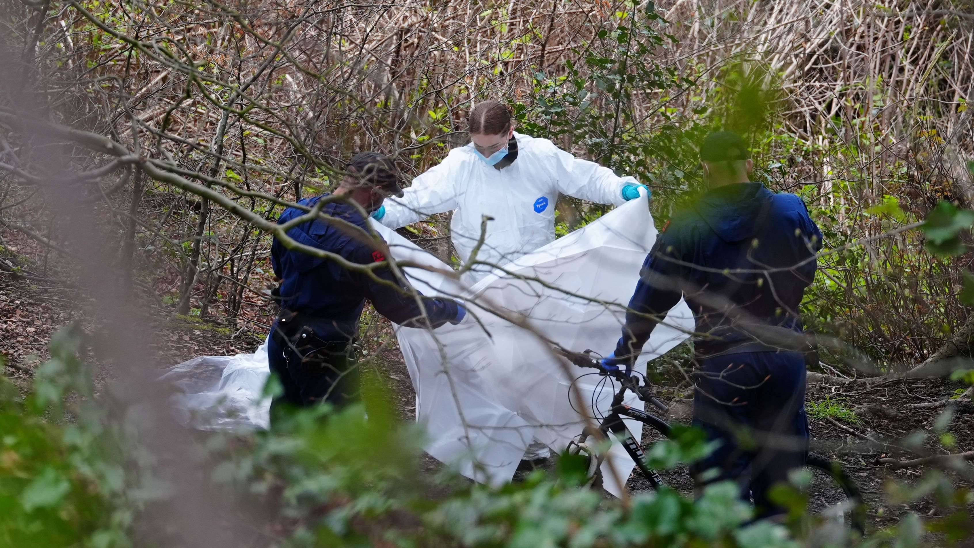 More crimes scenes opened after ‘further breakthroughs’ in torso murder probe