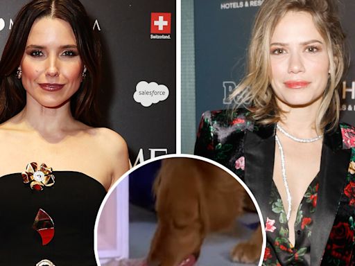 Sophia Bush and Bethany Joy Lenz Unpack 'Insane' Viral One Tree Hill Dog-Eating-Heart Scene